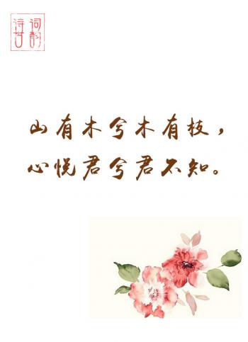 文字图片 _ 第(1)张