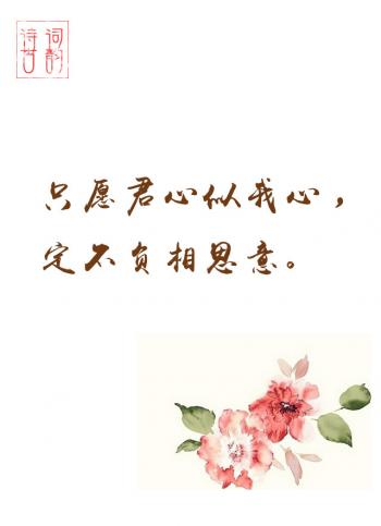 文字图片 _ 第(3)张