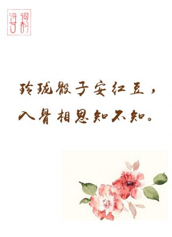 文字图片 _ 第(5)张