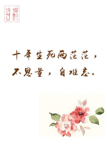 文字图片 _ 第(6)张