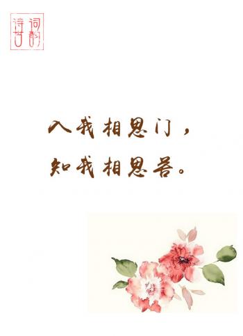 文字图片 _ 第(10)张