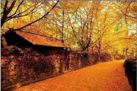 图片 _ 第(4)张