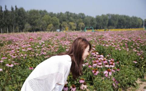 唯美花园图片 _ 第(3)张