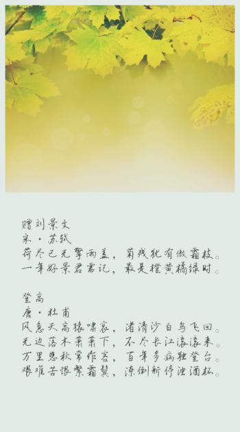 用东野圭吾的方式说爱你唯美文字图片第2张