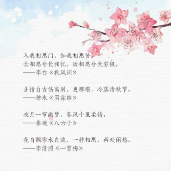 文字图片 _ 第(5)张