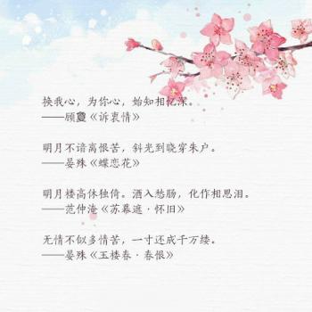 文字图片 _ 第(6)张