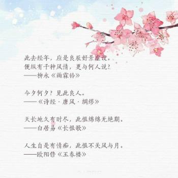 文字图片 _ 第(8)张