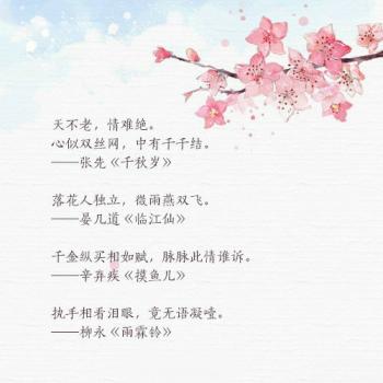 文字图片 _ 第(10)张