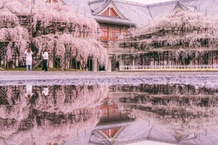 唯美风景图图片 _ 第(8)张