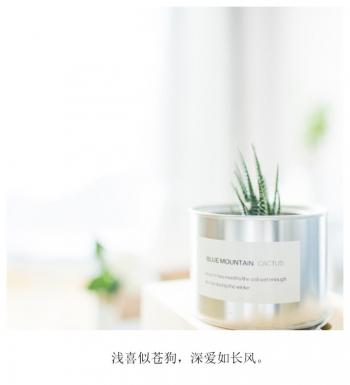 用东野圭吾的方式说爱你唯美文字图片第3张