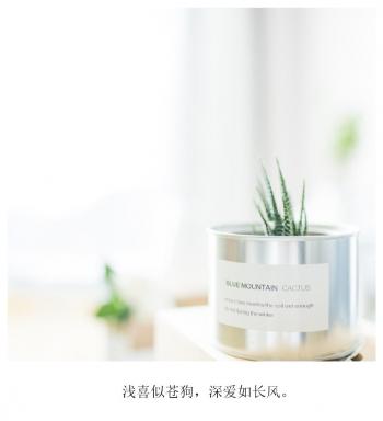 文字图片 _ 第(8)张