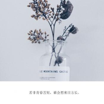 文字图片 _ 第(3)张