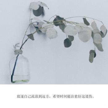 文字图片 _ 第(4)张