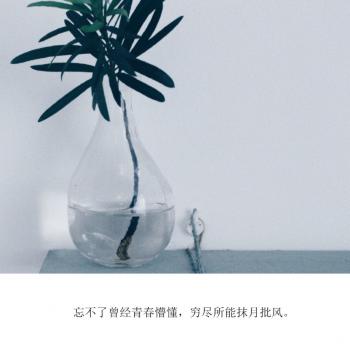 文字图片 _ 第(7)张