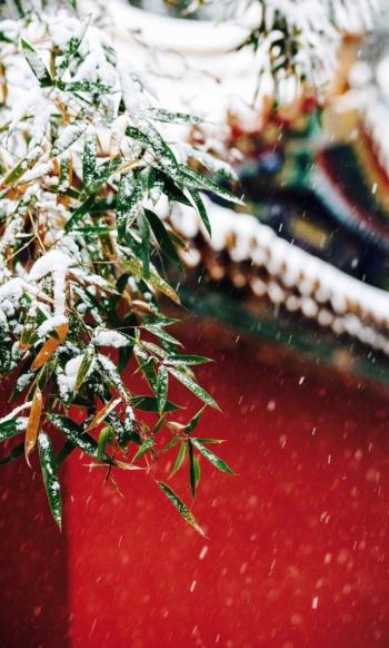 雪景图片 _ 第(1)张