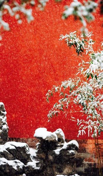 雪景图片 _ 第(6)张