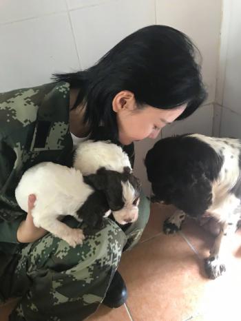 高清中国内地女演张馨予优雅气质性感写真图片桌面壁纸第6张