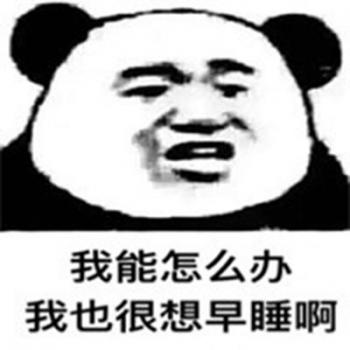 熊图片第4张