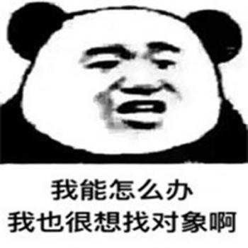 熊图片第6张