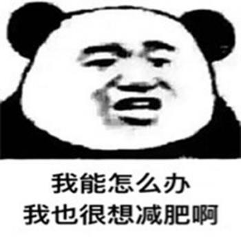 熊猫图片 _ 第(10)张