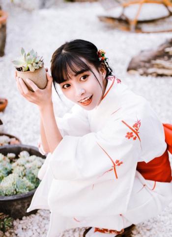 百合花图片 _ 第(14)张