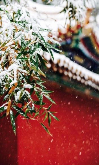 雪景图片 _ 第(9)张
