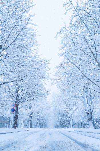 雪景图片 _ 第(1)张