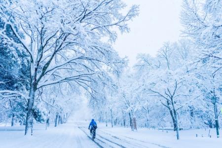 雪景图片 _ 第(3)张