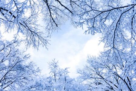 雪景图片 _ 第(4)张