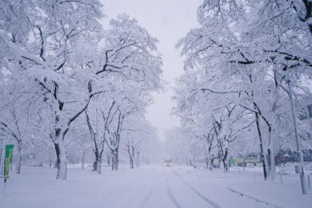 雪景图片 _ 第(5)张