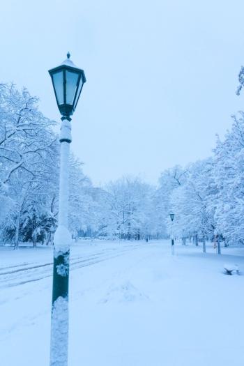 雪景图片 _ 第(8)张