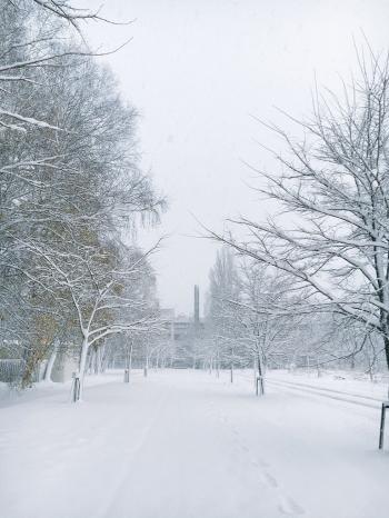 雪景图片 _ 第(9)张