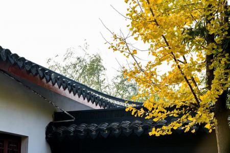 唯美风景图图片 _ 第(9)张