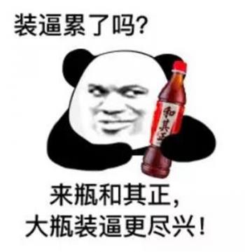 熊图片第2张