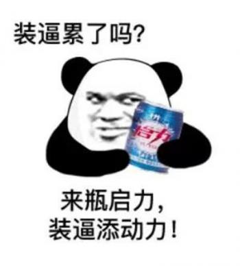 熊图片第4张