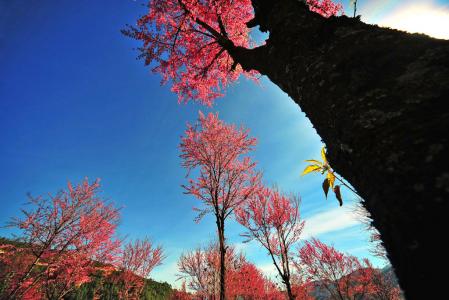 美丽风景图图片 _ 第(4)张