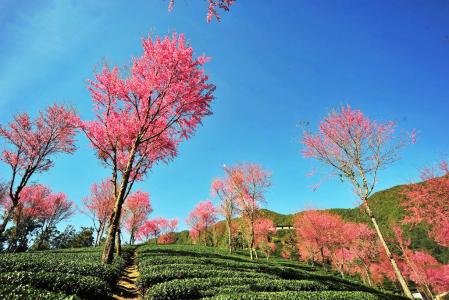 美丽风景图图片 _ 第(6)张