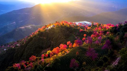 美丽风景图图片 _ 第(10)张