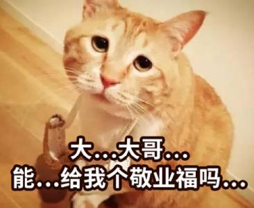 五福图片 _ 第(8)张
