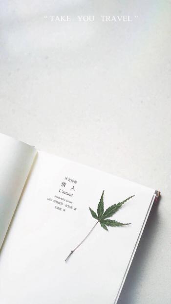 壁纸图片 _ 第(8)张