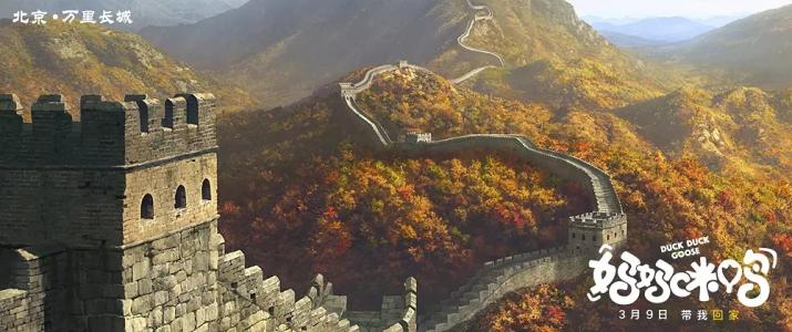 鸭子图片 _ 第(19)张