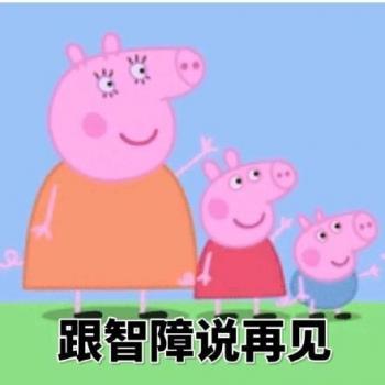 第0张