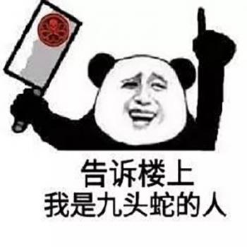 表情包图片 _ 第(8)张