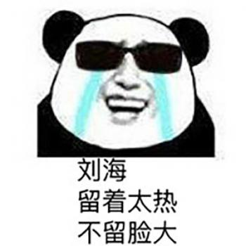 熊猫图片 _ 第(8)张
