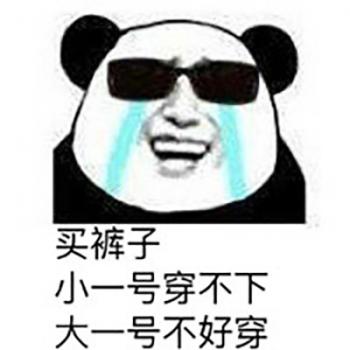 熊猫图片 _ 第(10)张