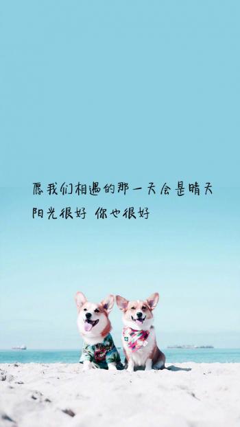 心情文字图片 _ 第(9)张