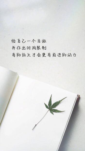 创意励志减肥文字高清手机壁纸第4张