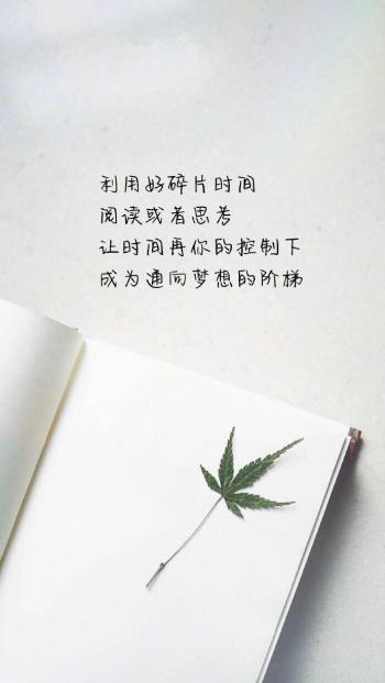 创意励志减肥文字高清手机壁纸第5张