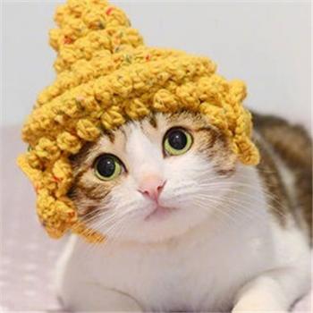 小猫图片 _ 第(9)张