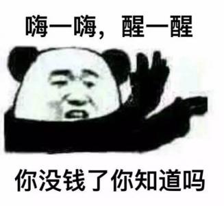 熊猫图片 _ 第(10)张